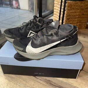 Nike Pegasus Zoom WinFlo 8 Shield (7.5W)